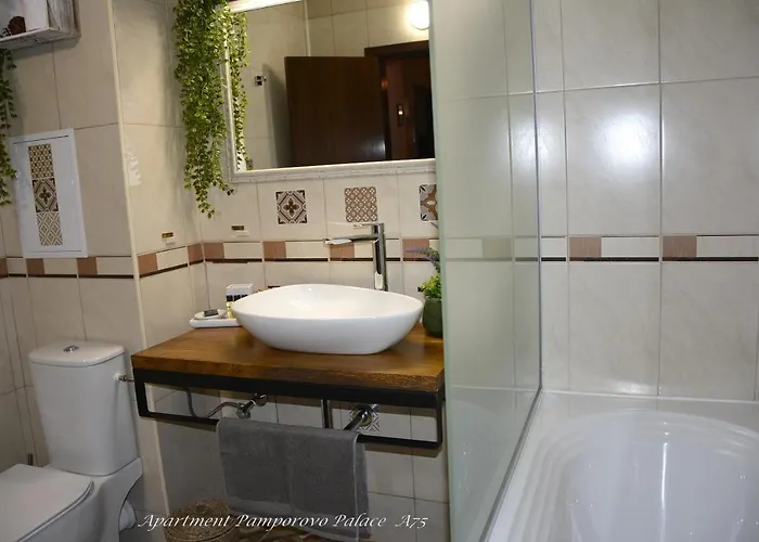 Palaсe A75 パンポロボ